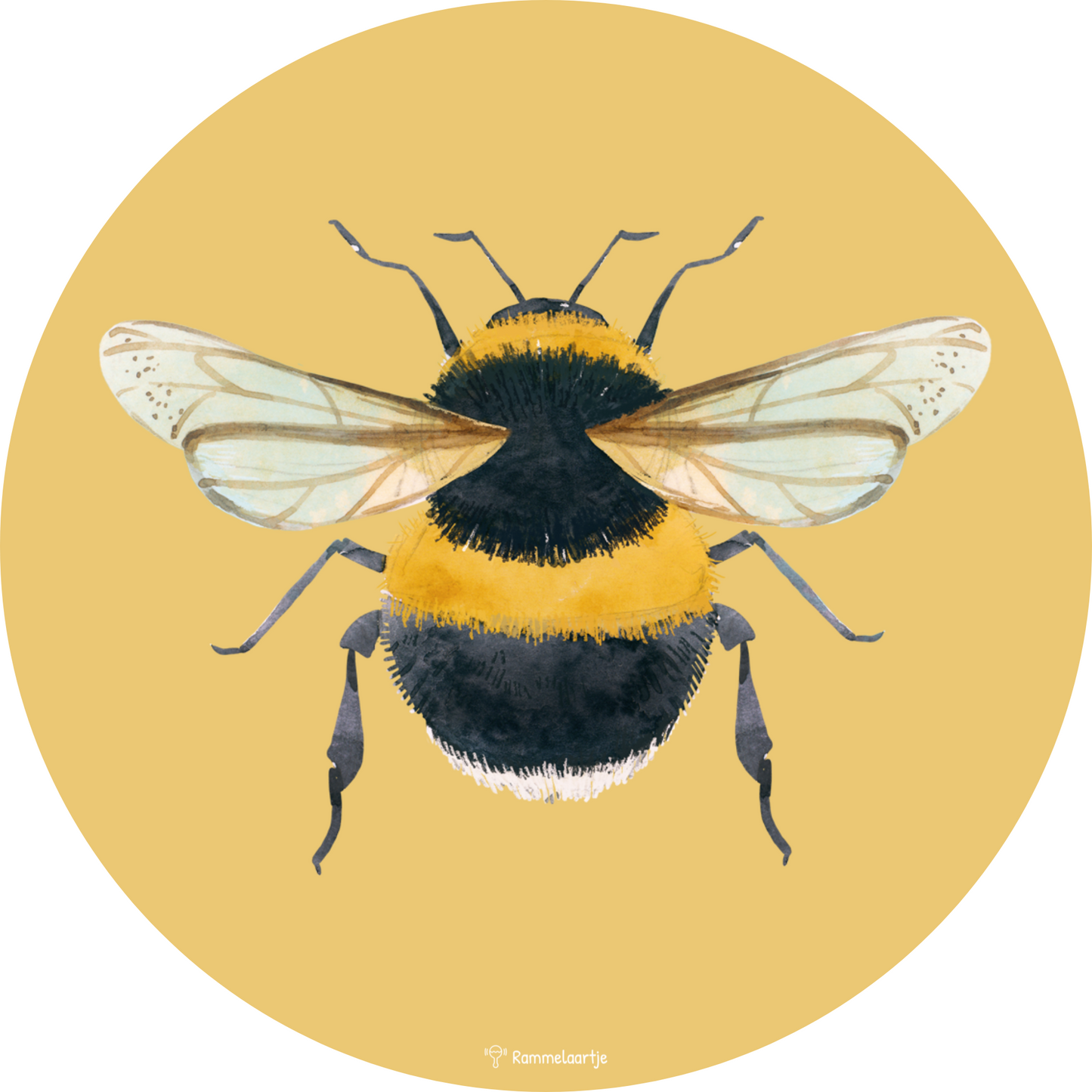 Muursticker ⌀30cm - Bij