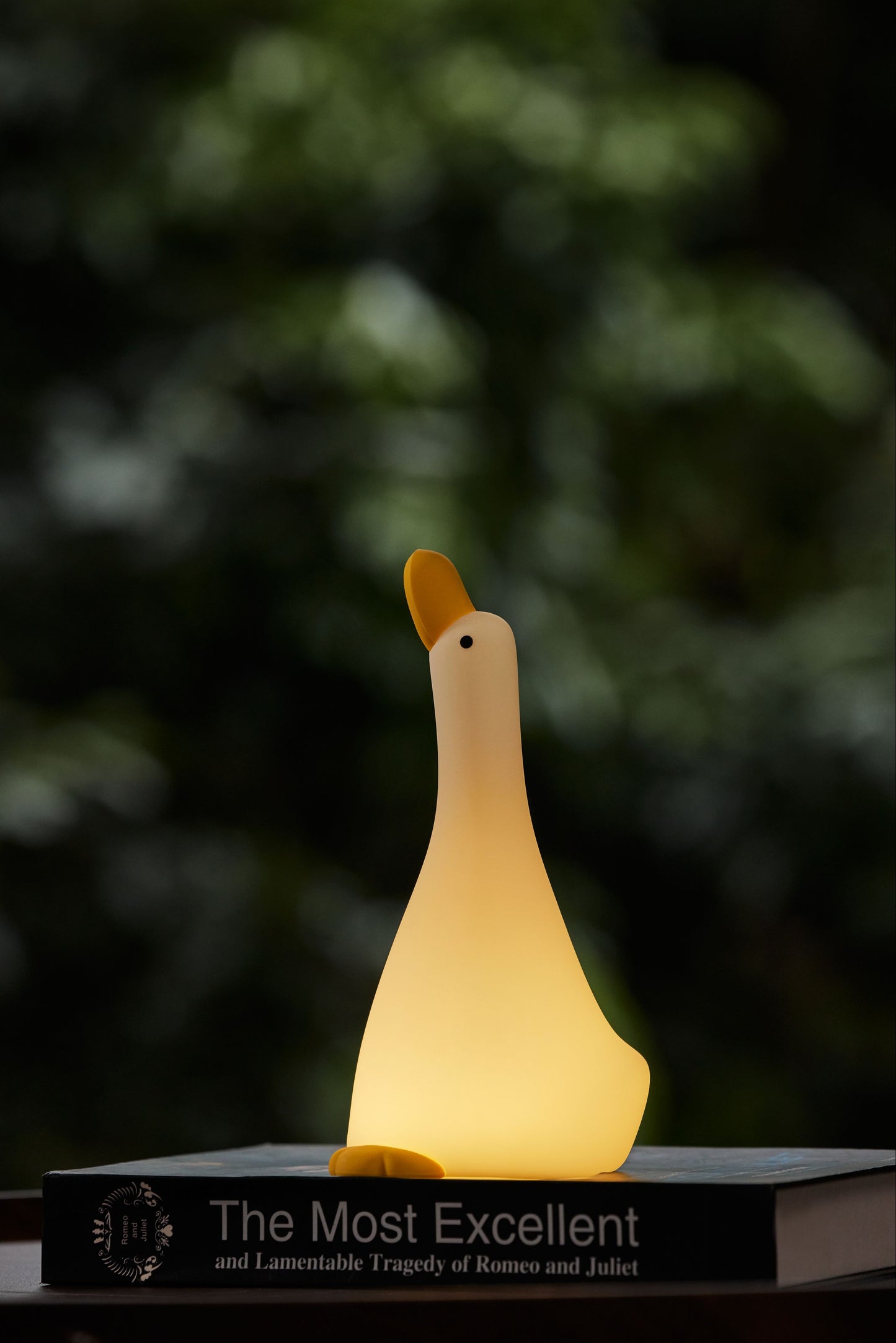 Nachtlampje Goose met 3 standen en 30 minuten timer