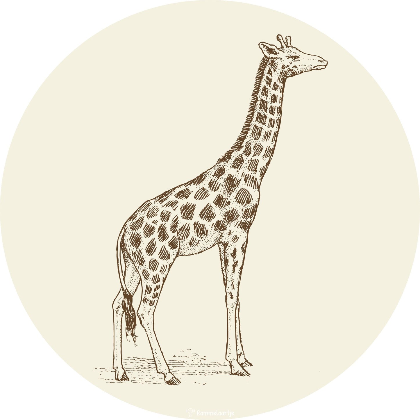 Muurcirkel Giraffe ⌀30cm
