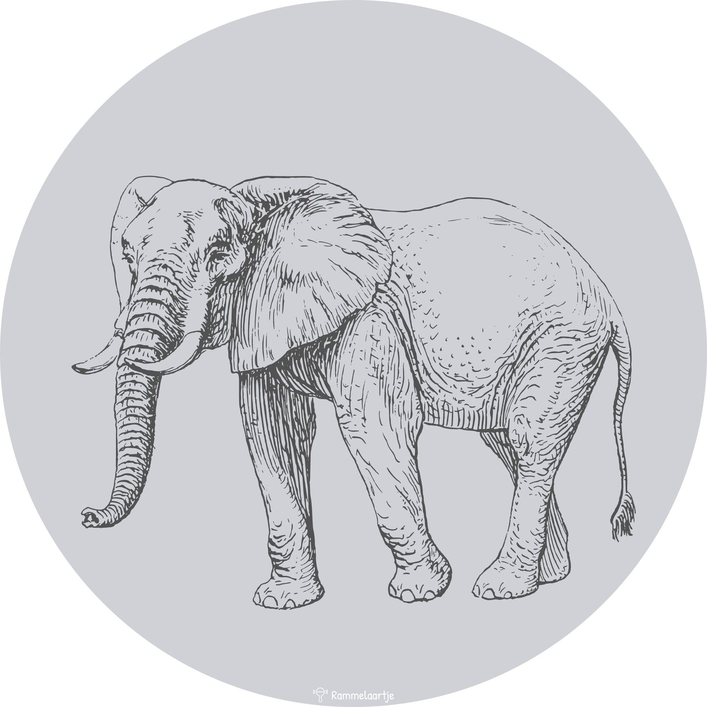 Muurcirkel Olifant ⌀30cm