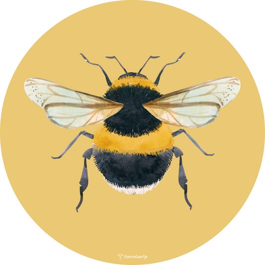 Muursticker ⌀50cm - Bij