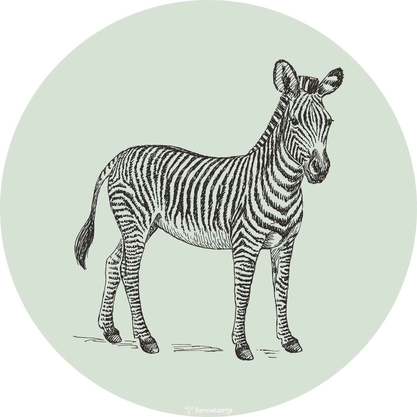 Muurcirkel Zebra ⌀30cm